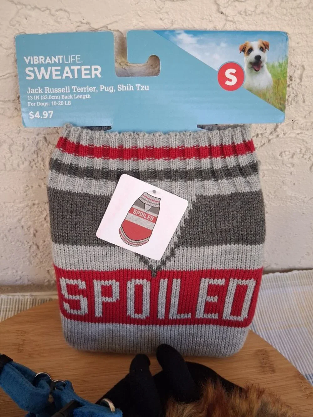 bundle for small dog or cat